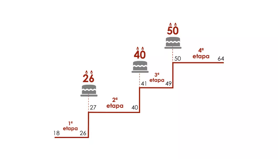 grafico-etapas-3